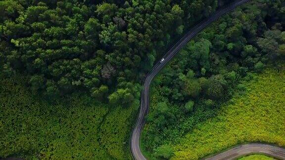 鸟瞰图拍摄美丽的道路在MaeHongSon泰国