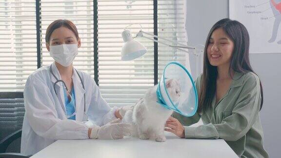 亚洲兽医在预约的兽医诊所检查猫在宠物医院专业的女兽医坐在桌子上和主人一起抚摸和安抚小猫检查动物
