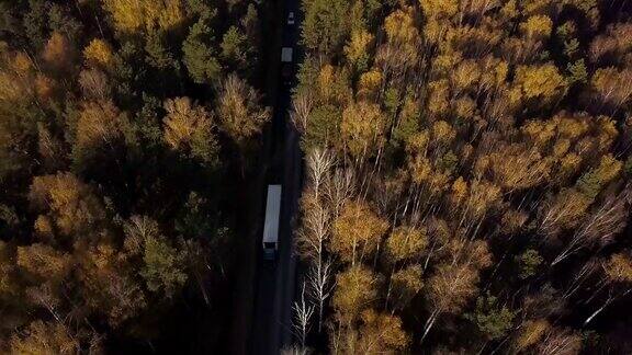 货运卡车和汽车在郊区的道路上穿过秋天的森林