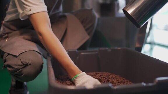 亚洲的中国工匠在他的工厂里检查烘培咖啡豆从冷却过程中旋转出来后的去石过程