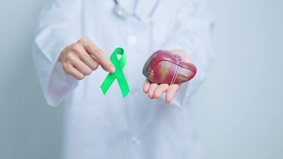 戴绿丝带的医生和人体肝脏解剖模型十月肝癌宣传月肿瘤、黄疸、病毒性肝炎、肝硬化、衰竭、扩大、肝性脑病以及健康理念