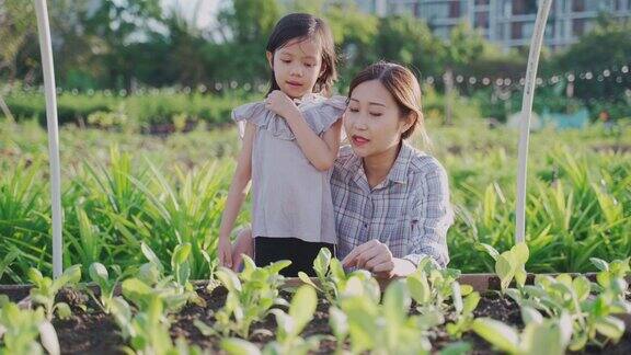 年轻的亚洲妇女农夫坐在农田里和她的女儿聊天