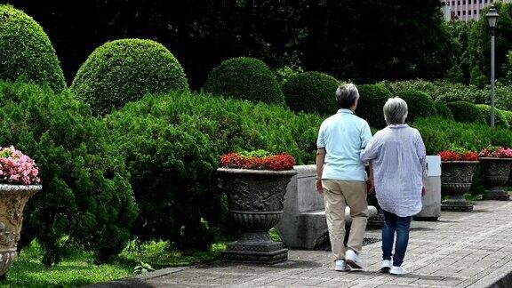 一对老夫妇手牵着手在公园散步