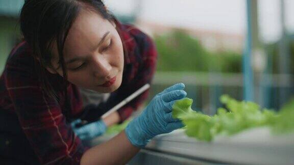 年轻女性正在用数码平板电脑检查有机蔬菜