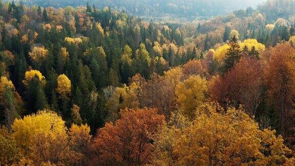 秋天一个色彩斑斓、富饶的山谷