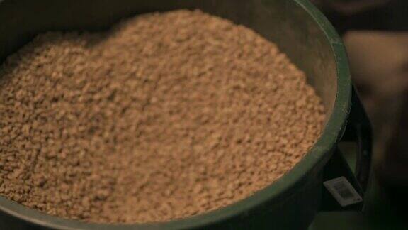 靠近亚洲华人工作工匠舀生咖啡豆从桶到称重机和混合它在工厂仓库的咖啡烘焙过程