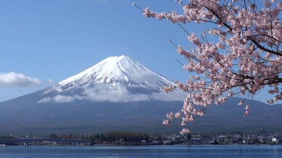 日本风景与富士山和樱花在川口子藤吉田日本