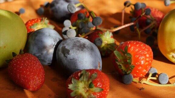 详细的棕色的陶器盘子里有一组新鲜的草莓和蓝色的葡萄水果苹果蓝色的李子被日出或日落的阳光照亮果浆果味道
