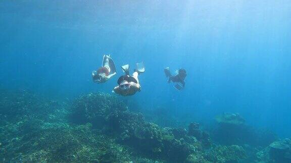 4K群免费潜水朋友戴着长纤维鳍和浮潜面罩潜水在清澈的海水珊瑚礁通过相机