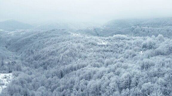 冬天的天线在浓雾覆盖的雪山上飞行