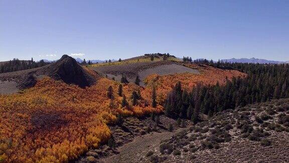无人机拍摄的秋天的颜色在草地在莫诺县加利福尼亚州-轨道草地附近的Sage母鸡峰会