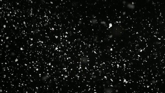 暴风雨天气下雪中等大小的雪花孤立在黑色的背景真实的镜头光晕很容易使用混合叠加模式