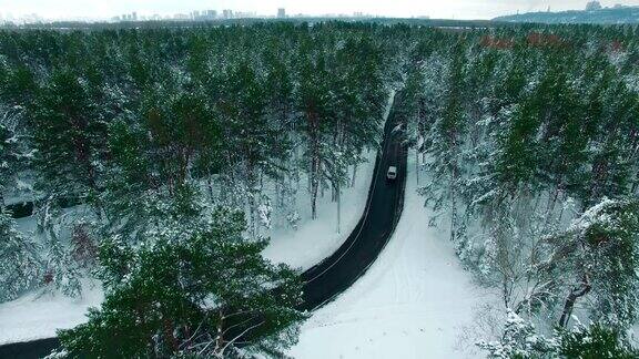 在冬季无人机拍摄的画面中一辆汽车穿过积雪的松林