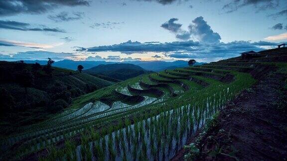 东南亚山地农业稻田的时间流逝