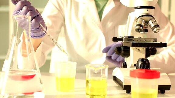 女化验师在化学实验室的显微镜上检查黄色液体