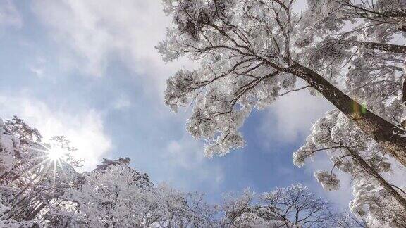 黄山的雪景
