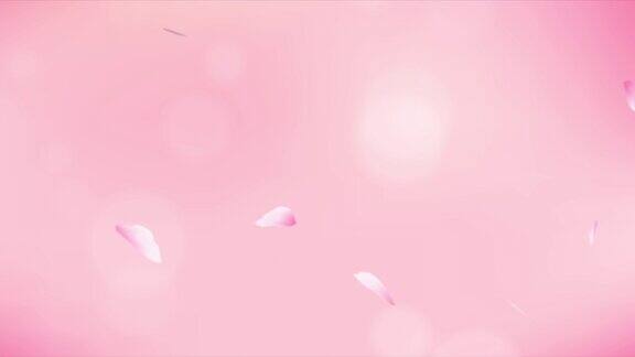 樱花花瓣飘落在粉红色散景背景上的4K动画春天的樱花背景