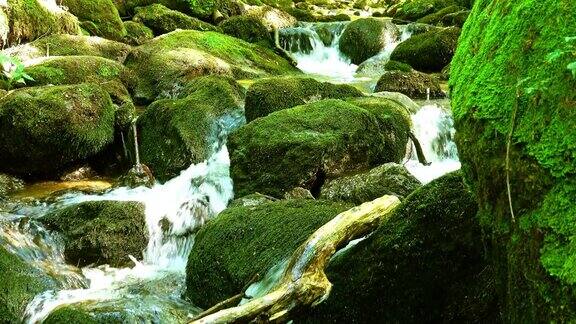 山间河流流过苔藓覆盖的石头