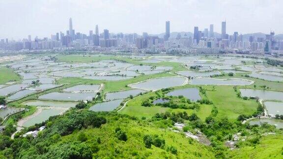 元朗香港鱼塘的鸟瞰图