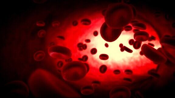 三维绘制动脉中的红细胞动画体内流动医疗人体保健