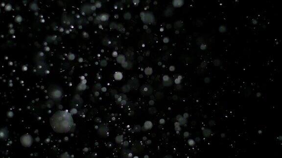 黑色背景上的慢动作雪