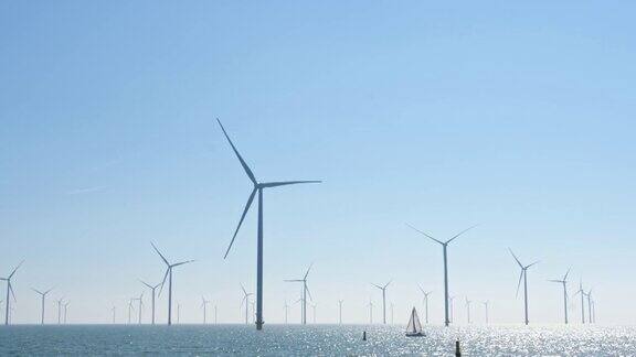 荷兰最大的风车农场可持续发展可再生能源