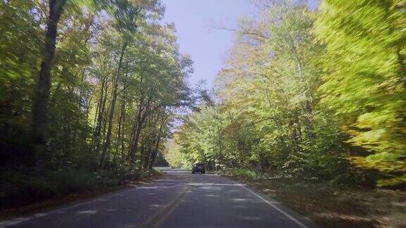 驾驶弯曲的秋天森林路