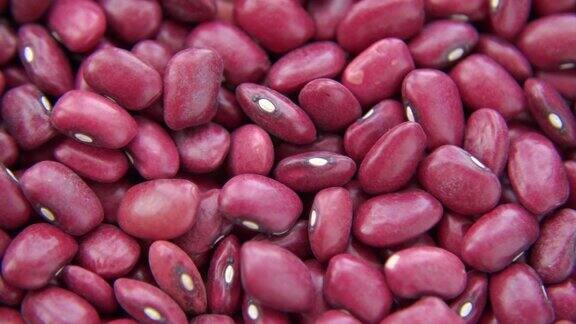 生红芸豆