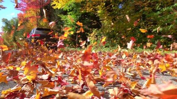慢镜头特写:五彩缤纷的秋叶在一辆汽车后面飞舞