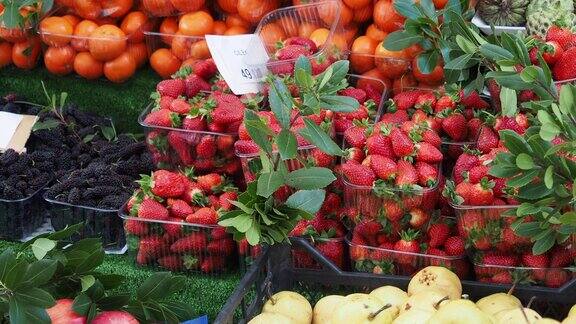 成熟的红草莓塑料容器在商店出售