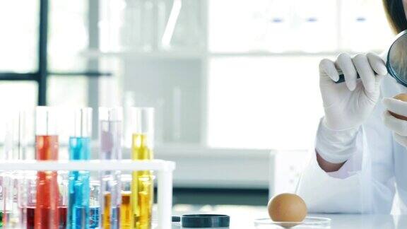 在实验室工作的女人穿着白色长袍戴着手套戴着放大镜表手里拿着鸡蛋