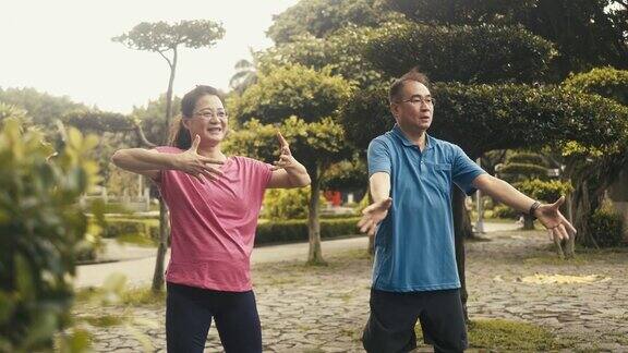 两个活跃的台湾老人在公园里打太极(慢镜头)