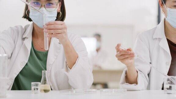 女性、实验室科学家或用于中药、细菌医学研究或未来dna创新的新冠病毒试管Covid-19口罩、疫苗科学或医疗保险滴管吸管