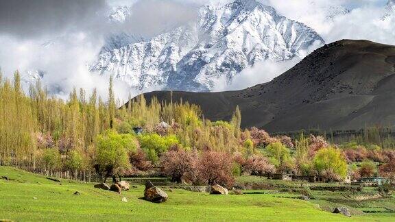延时日出场景移动的云在雪帽山与美丽的盛开的樱花自然风光景观季节在春达山谷的一个著名的目的地斯卡杜在巴基斯坦