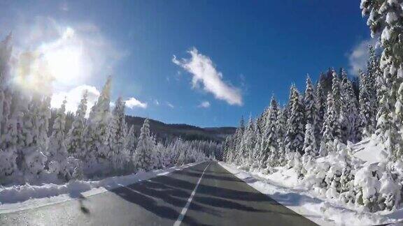 冬天在一个阳光明媚的日子里在一条空旷的道路上沿着白雪覆盖的森林行驶