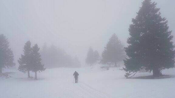 人走在雪林里雾和风