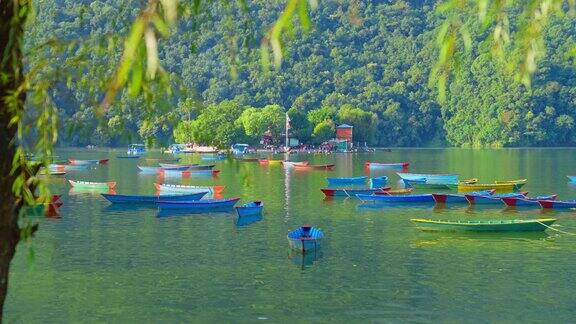 尼泊尔博卡拉湖畔Phewa湖和TalBarahi寺庙的美丽景色湖边有许多船只