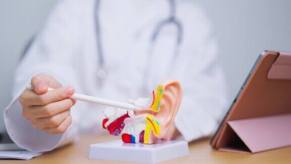 医生用人耳解剖模型耳部疾病闭锁中耳炎穿孔鼓膜梅尼埃综合征耳鼻喉科医生老化听力损失神经鞘瘤和健康