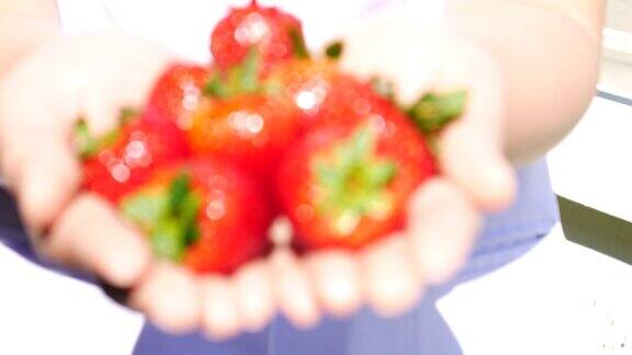 草莓在女人手上4k(超高清)