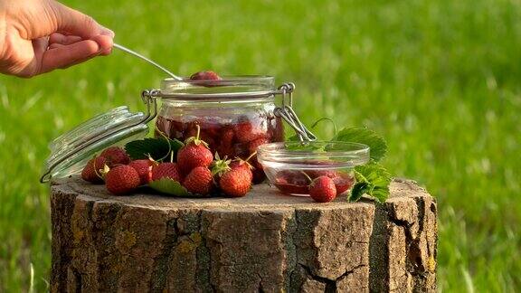 花园里有草莓酱有选择性的重点食物