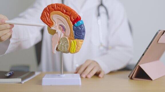 医生用人脑解剖模型和药片世界脑瘤日脑中风痴呆阿尔茨海默病帕金森和世界精神健康概念