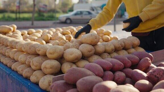 农民的手展示了在当地市场收获的一堆新鲜的生土豆