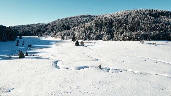 冬天的鸟瞰图白雪皑皑的松林和正午蜿蜒的小河