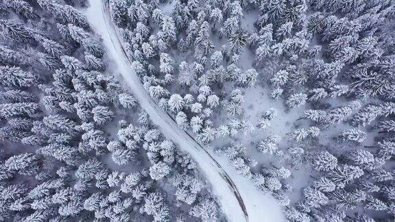 穿过冬日森林的道路