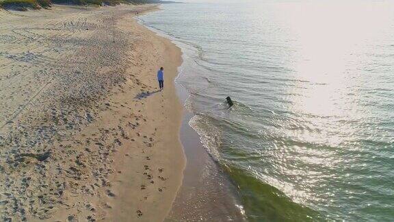 55岁的成熟、活跃、迷人的女人和她的大狗泽嫩猎犬在阳光明媚的秋日波罗的海的沙滩上玩耍高空高角度4K超高清视频片段