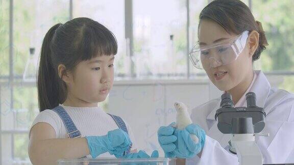 小亚洲学生女孩在科学实验实验课上学习实验老鼠科学和教育