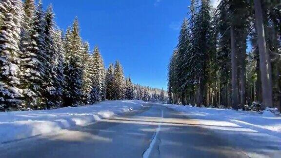 在冰雪覆盖的森林里行驶在冬日的道路上