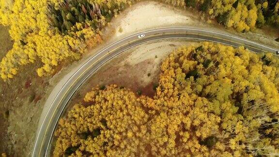 秋天树林中的道路