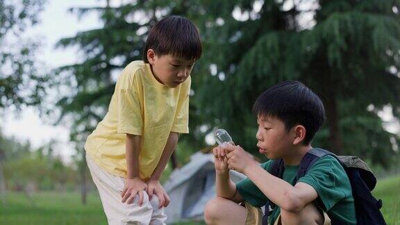 两名亚洲小学生正在观察昆虫