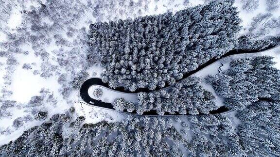 高空鸟瞰汽车行驶在山区冬季积雪覆盖的森林的发夹弯道上白松树林雪街道道路建立4k无人机垂直飞行